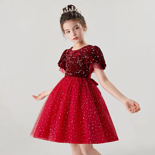 Princess Dress For Birthday Girl